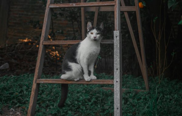 Die vorteile eines kameraturms für ihre sicherheit